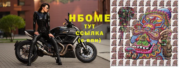 мяу мяу мука Аркадак