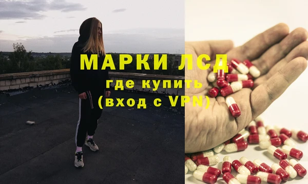 мяу мяу мука Аркадак