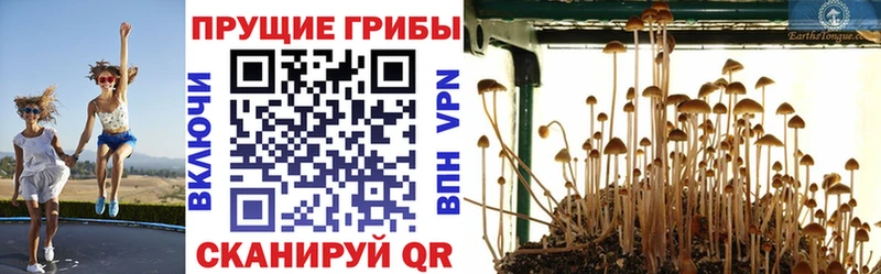 Галлюциногенные грибы прущие грибы  Островной 